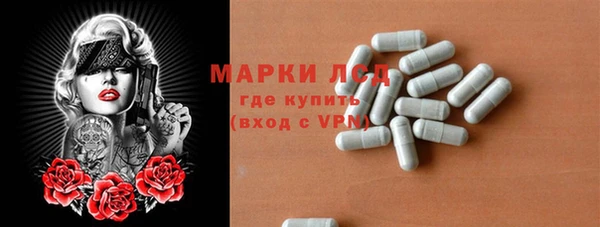 твердый Новодвинск