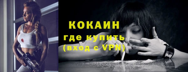твердый Новодвинск