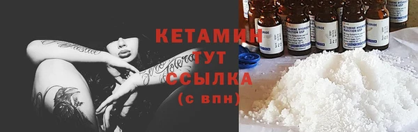 твердый Новодвинск