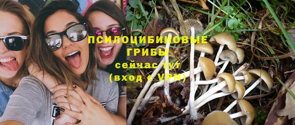экстази Новозыбков