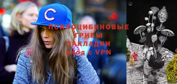 бошки Саранск