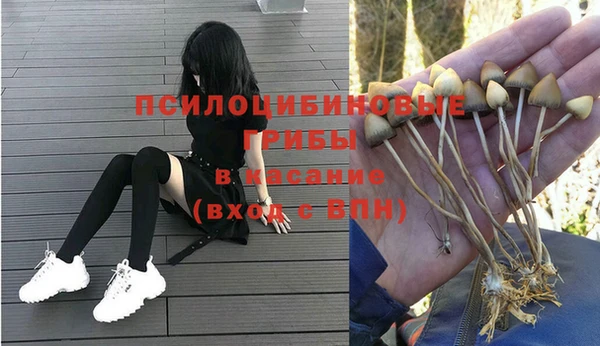 твердый Новодвинск