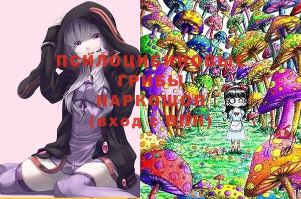 экстази Новозыбков