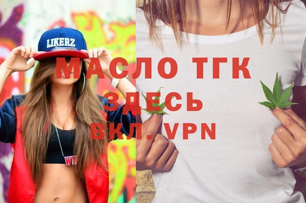 твердый Новодвинск