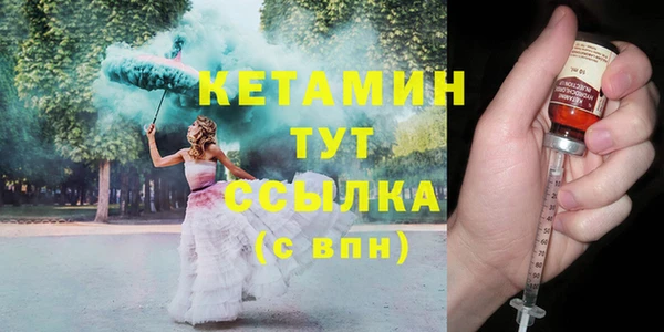 твердый Новодвинск