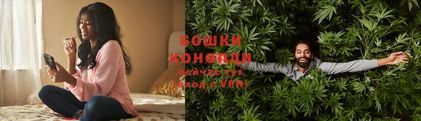 твердый Новодвинск