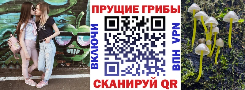 Галлюциногенные грибы мицелий  KRAKEN рабочий сайт  Белебей 