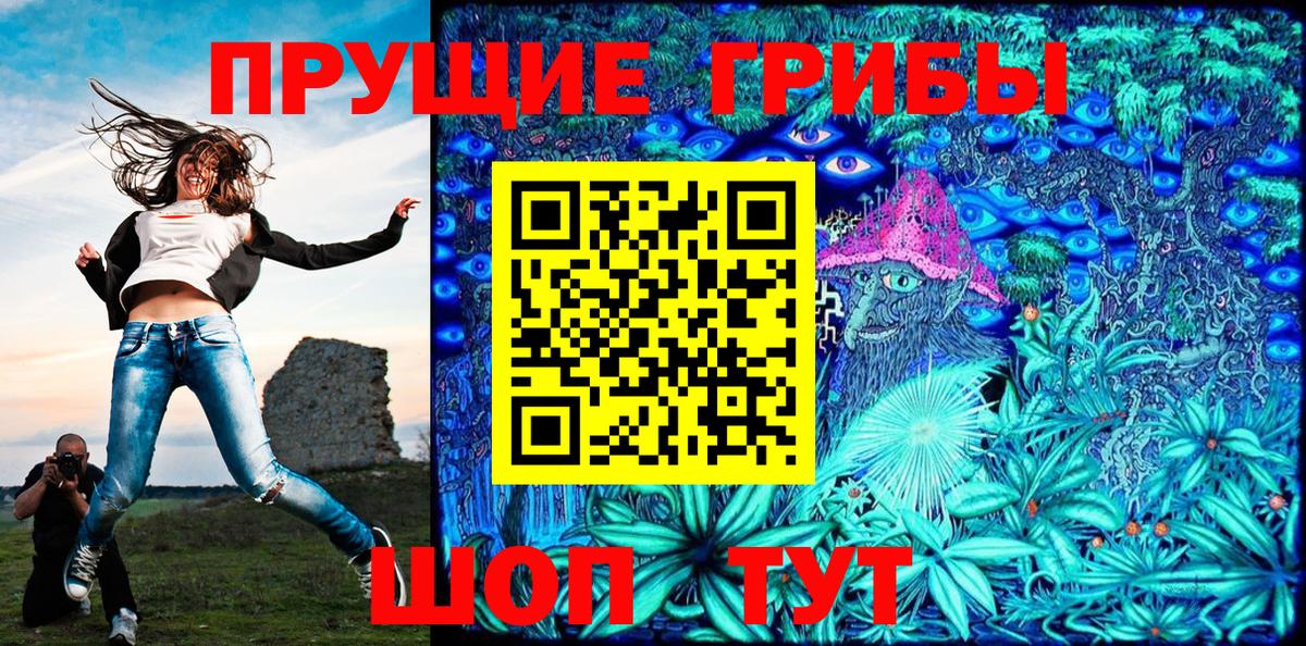Псилоцибиновые грибы Cubensis Белебей