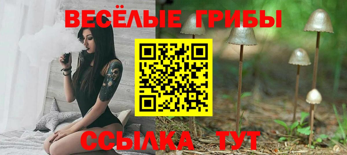 Галлюциногенные грибы прущие грибы  Вход с VPN  Белебей 