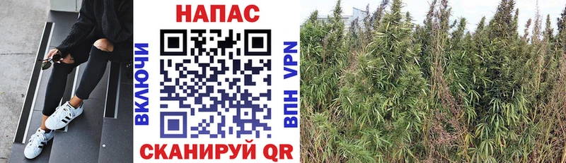 Бошки Шишки White Widow  Белебей 